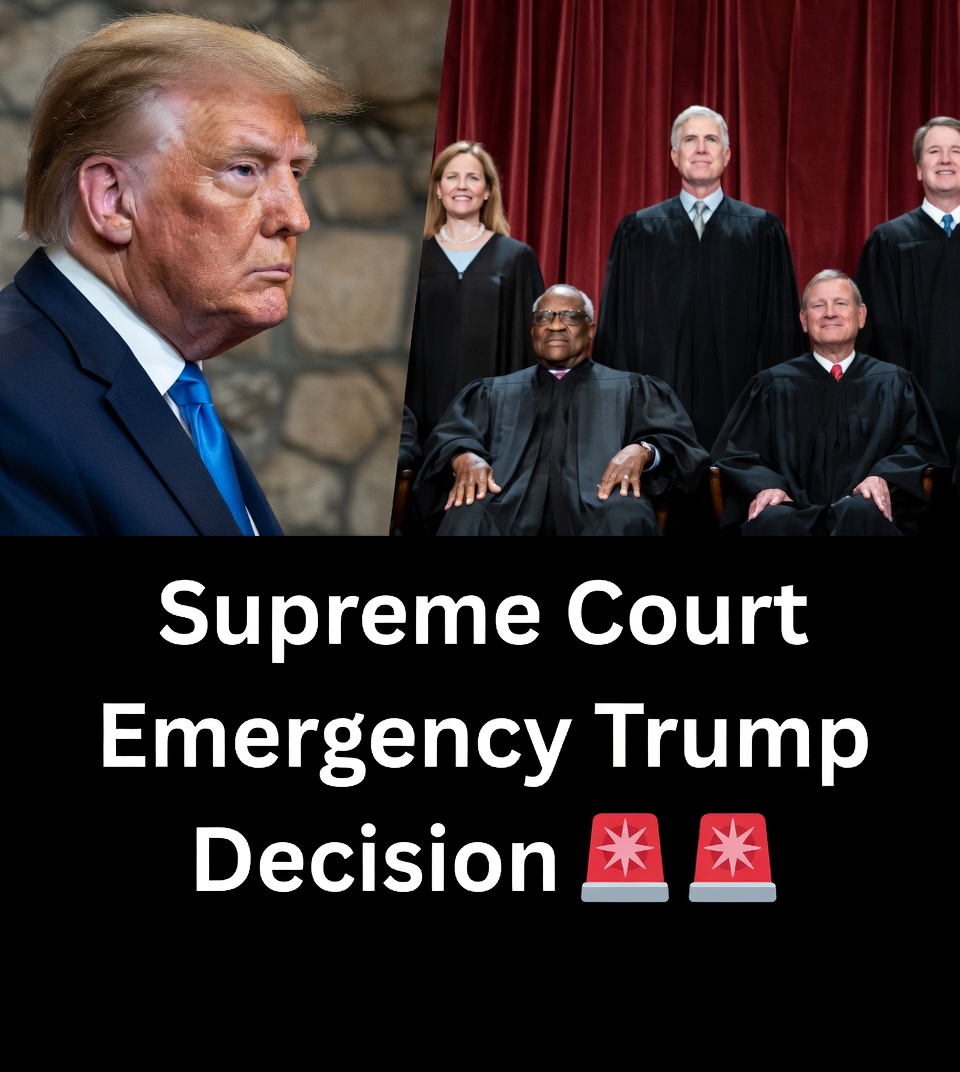 Supreme Court chamber during asylum ruling