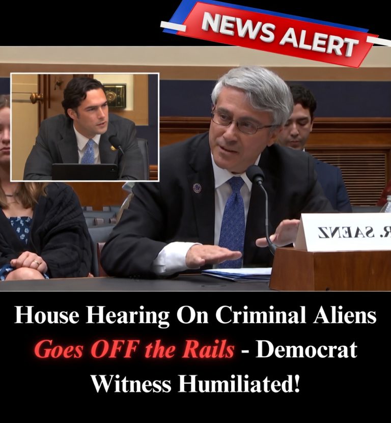 Congress hearing on illegal immigrant policy debate