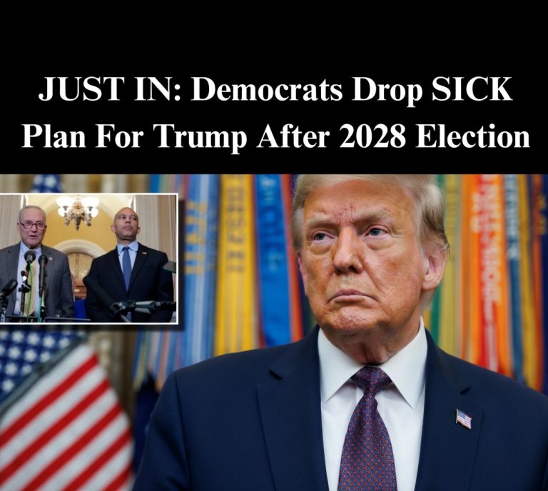 JB Pritzker speaking about Project 2029 plan