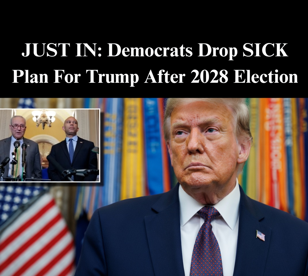 JB Pritzker speaking about Project 2029 plan