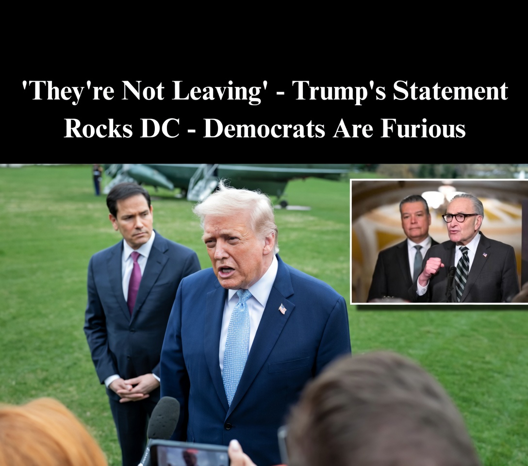 National Guard troops deployed in Washington DC streets