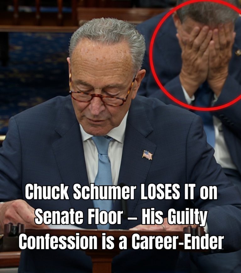 Chuck Schumer speaking during government shutdown