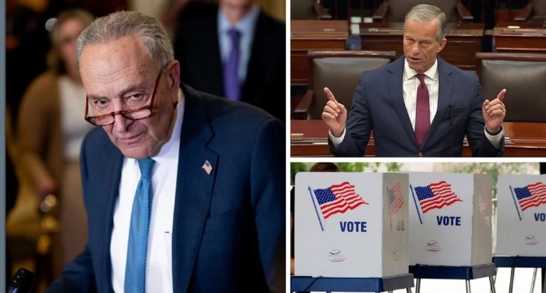 Schumer Declares Senate Democrats Will Completely SAVE Act