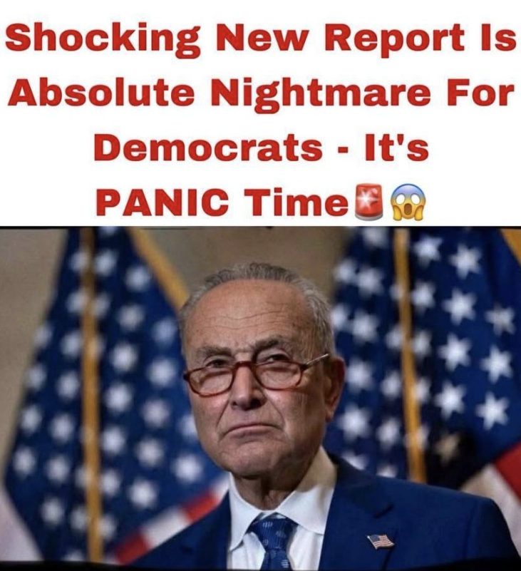 SAVE Act voter ID legislation, voter ID debate, Chuck Schumer news, US election laws, voter identification policy, election security debate, Congress legislation, US voting rules