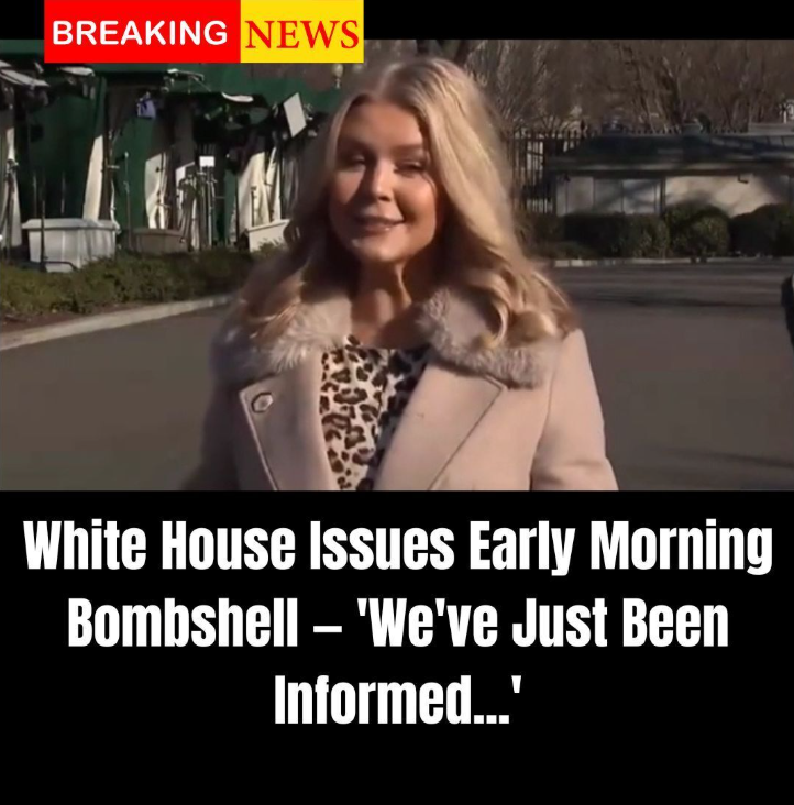 Leavitt Says Dems ‘Fell Right Into’ Trump’s State Of The Union ‘Trap’