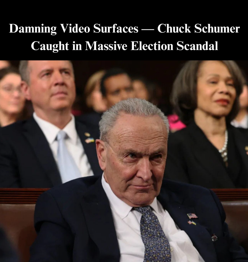 Chuck Schumer 1996 voter ID speech clip