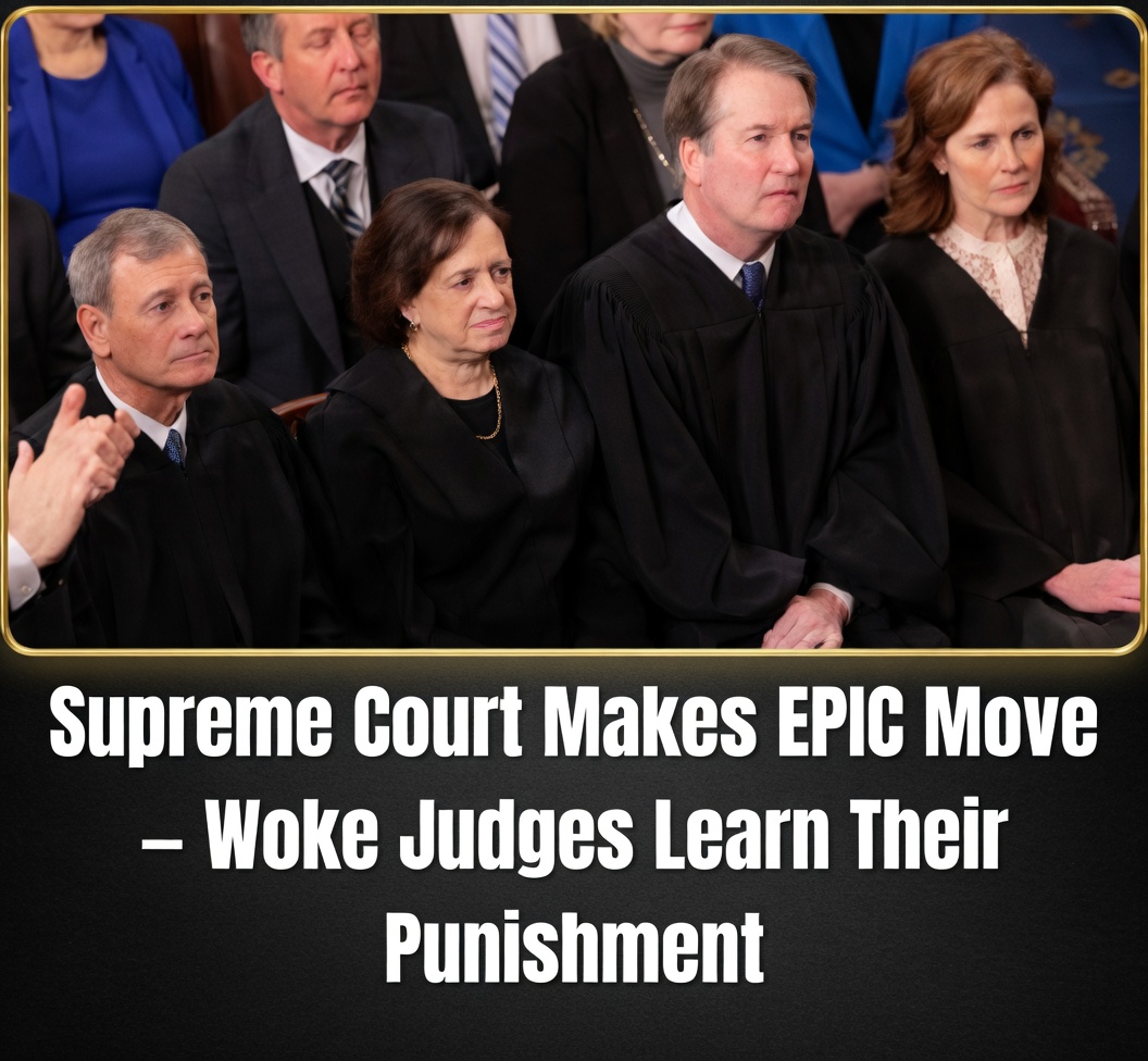 Gorsuch Kavanaugh warn lower courts precedent